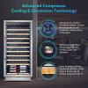 imageTylza 110 Bottles Wine Cooler 24 Inch Wine Cooler Refrigerator Built in or Freestanding Wine Fridge with Upgraded Compressor Low Noise Fast Cooling and Intelligent Temperature Memory