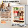 imageTylza Wine and Beverage Refrigerator 24 inch Dual Zone Wine Beverage Cooler Builtin and Freestanding with Seamless Stainless Steel Door Quick Cooling Under Counter Beer Wine refrigerator24 Beverage Cooler WhiteGlass Door