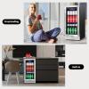 imageTylza Wine and Beverage Refrigerator 24 inch Dual Zone Wine Beverage Cooler Builtin and Freestanding with Seamless Stainless Steel Door Quick Cooling Under Counter Beer Wine refrigerator15 Beverage CoolerGlass Door