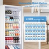 image:imageTylza 15 Inch Wine Fridge 30 Bottles Dual Zone Wine Cooler Refrigerator Undercounter or Freestanding 4065F Wine Cabinet with Tempered Glass Door Wine Cooler for Home Kitchen Bar360L Commercial Display FridgeWhite