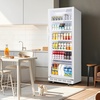 image:imageTylza 15 Inch Wine Fridge 30 Bottles Dual Zone Wine Cooler Refrigerator Undercounter or Freestanding 4065F Wine Cabinet with Tempered Glass Door Wine Cooler for Home Kitchen Bar360L Commercial Display FridgeWhite