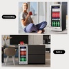 image:imageTylza 15 Inch Wine Fridge 30 Bottles Dual Zone Wine Cooler Refrigerator Undercounter or Freestanding 4065F Wine Cabinet with Tempered Glass Door Wine Cooler for Home Kitchen Bar15 Beverage CoolerGlass Door