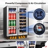 image:imageTylza Wine Fridge 15 30 Bottles Wine Cooler Refrigerator Undercounter or Freestanding Removable Shelves 4065F Wine Cabinet with Double Glass Door Wine Cooler for Home Kitchen BarUpgrade 24 Dual Zone Wine Beverage Cooler