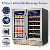 image:imageTylza Wine Fridge 15 30 Bottles Wine Cooler Refrigerator Undercounter or Freestanding Removable Shelves 4065F Wine Cabinet with Double Glass Door Wine Cooler for Home Kitchen Bar30 Dual Zone Wine Beverage Cooler