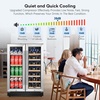 image:imageTylza Wine Fridge 15 30 Bottles Wine Cooler Refrigerator Undercounter or Freestanding Removable Shelves 4065F Wine Cabinet with Double Glass Door Wine Cooler for Home Kitchen BarUpgrade 24 Dual Zone Wine Beverage Cooler