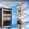 image:imageTylza Wine Fridge 15 30 Bottles Wine Cooler Refrigerator Undercounter or Freestanding Removable Shelves 4065F Wine Cabinet with Double Glass Door Wine Cooler for Home Kitchen Bar175 322 CuFt Beverage Cooler Silver