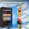 image:imageTylza Wine Fridge 15 30 Bottles Wine Cooler Refrigerator Undercounter or Freestanding Removable Shelves 4065F Wine Cabinet with Double Glass Door Wine Cooler for Home Kitchen Bar175 322 CuFt Beverage Cooler Black